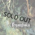 Tryambaka / Replenishing Roots