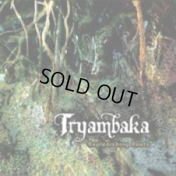 画像1: Tryambaka / Replenishing Roots
