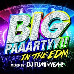 画像1: V.A / Big Paaartyy!! In The EDM