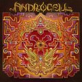 Androcell / Imbue