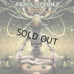 画像1: V.A / Fossil Freaks