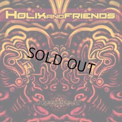 画像1: V.A / Holix and Friends