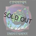 Cosmosis / Trancendance