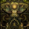 V.A / Forest of Banyan II
