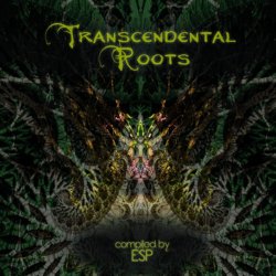 画像1: V.A / Transcendental Roots