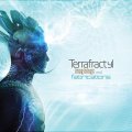 【お取り寄せ】 Terrafractyl / Imaginings And Fabrications