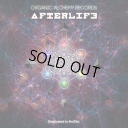 画像1: V.A / Afterlife