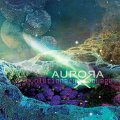 【お取り寄せ】 AuroraX / Evolutionary Voyage