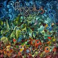 Aegolius / Moments Of Wonder