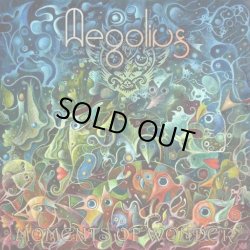 画像1: Aegolius / Moments Of Wonder