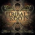 V.A / Tribal Roots Vol. 2