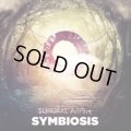 【お取り寄せ】 Sundial Aeon / Symbiosis