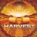 【お取り寄せ】 V.A / Harvest