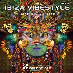 画像1: V.A / Ibiza Vibestyle Vol. 2 Supernatural