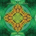 Dub Trees / Celtic Vedic [2025 Remastered Edition]