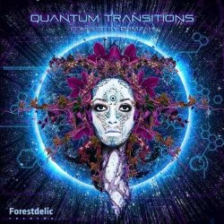 画像1: V.A / Quantum Transitions