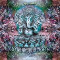 V.A / Colors Of Goa Vol.2 