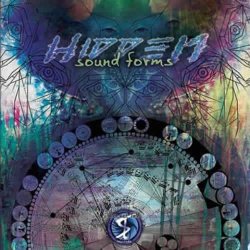 画像1: V.A / Hidden Sound Forms