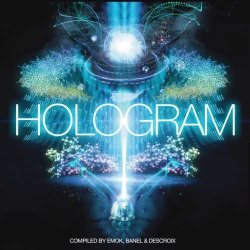 画像1: V.A / Hologram - 20 Years Iboga Records