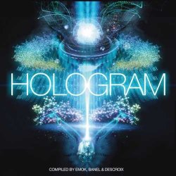 画像1: V.A / Hologram - 20 Years Iboga Records