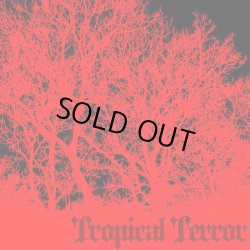 画像1: V.A / Tropical Terror