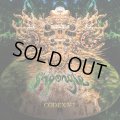 Shpongle / Codex VI