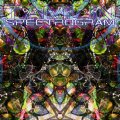 Tamlin / Spectrogram