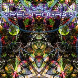 画像1: Tamlin / Spectrogram