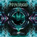 V.A / Psykorigid 2