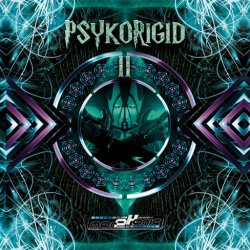 画像1: V.A / Psykorigid 2