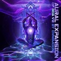 【お取り寄せ】 V.A  / Aural Expansion Of Goa Vol.2