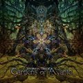 V.A / Gardens Of Avante