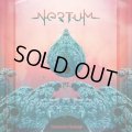 Nertum / Consciousness Awakened