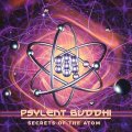 Psylent Buddhi / Secrets Of The Atom