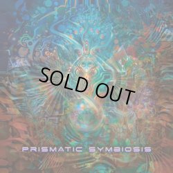 画像1: V.A / Prismatic Symbiosis