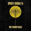 V.A / Order Odonata - Metamorphosis