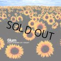 Slum / Sunflowers Of Today