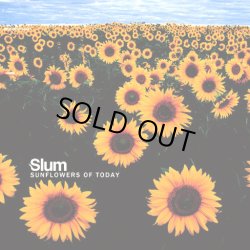 画像1: Slum / Sunflowers Of Today