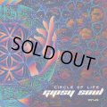 Gipsy Soul / Circle of Life