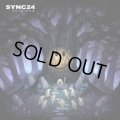 Sync24 / Acidious