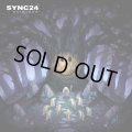 Sync24 / Acidious