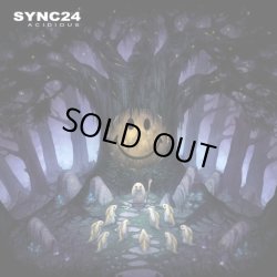 画像1: Sync24 / Acidious