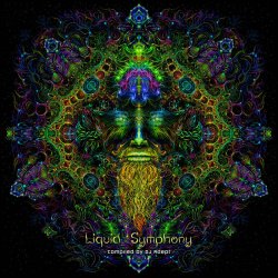 画像1: V.A / Liquid Symphony