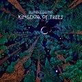 Bubbleguns / Kingdom Of Trees