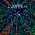 Bubbleguns / Kingdom Of Trees