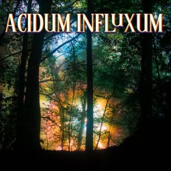 画像1: V.A / Acidum Influxum