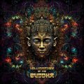 V.A / Hallucinations Of The Buddha (6CD)