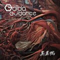 Gaida / Guidance