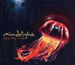 画像1: MINDELIGHT / LIGHT THE MIND