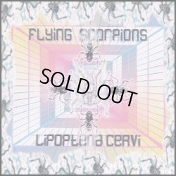 画像1: Flying Scorpions / Lipoptena Cervi
